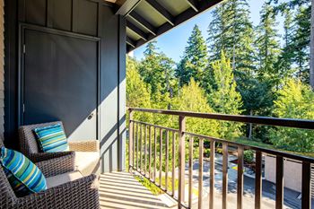 Balcony overlooking green pine landscaping 